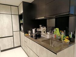 The Rise @ Oxley - Residences (D9), Apartment #449875611